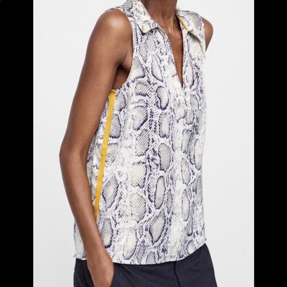 Zara snake skin top and matching bottom